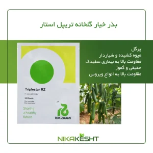 بذر خیار گلخانه‌ای تریپل استار F1 رکزوان