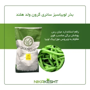 بذر لوبیا سبز سانری گرون ولد هلند