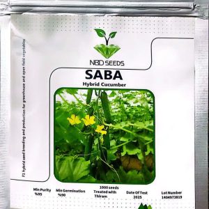 بذر خیار گلخانه ای سبا ایرانی