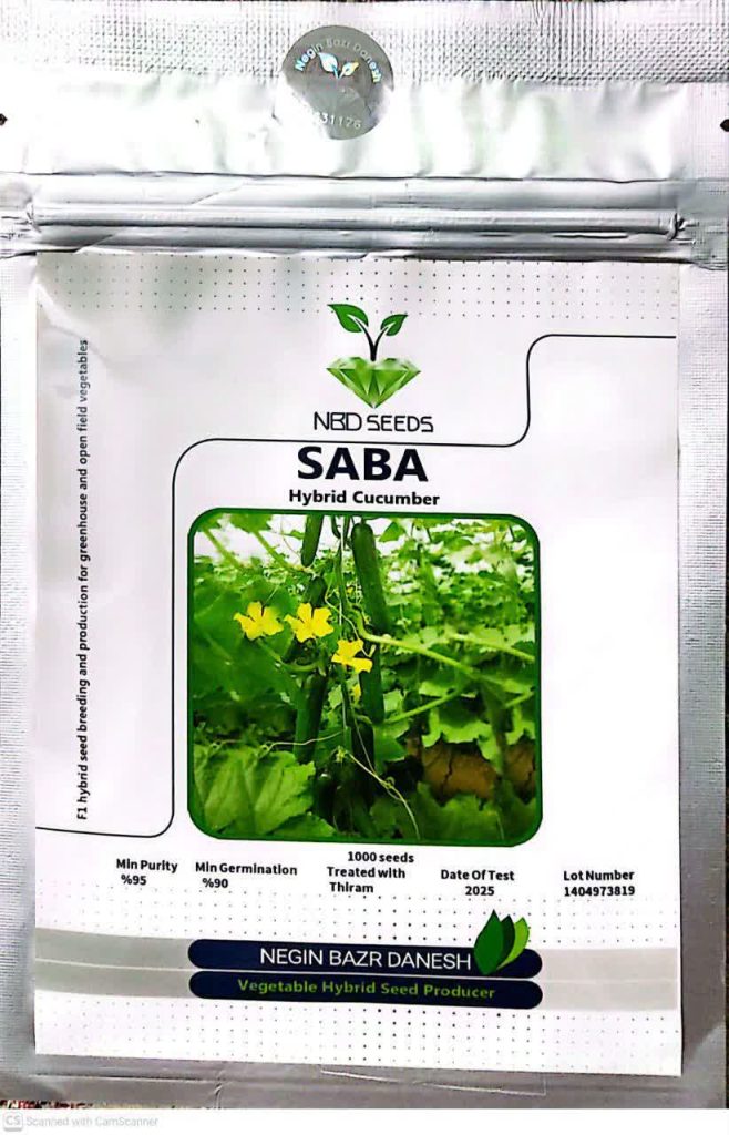 بذر خیار گلخانه ای سبا ایرانی