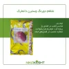 بذر شلغم دو رنگ وسترن دانمارک