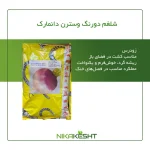 بذر شلغم دو رنگ وسترن دانمارک