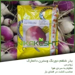 بذر شلغم دو رنگ وسترن دانمارک