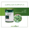 بذر خیار ایمپرس ویلمورین