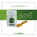 بذر خیار گلخانه ای سریر