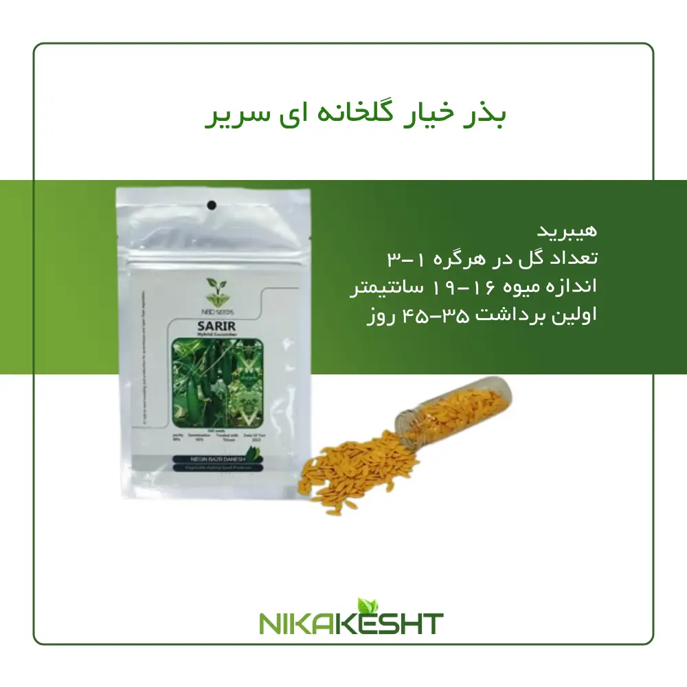 بذر خیار گلخانه ای سریر