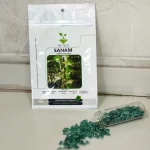 بذر خیار گلخانه ای سنم