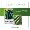 بذر خیار بت آلفا روزن سیدز
