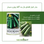 بذر خیار بت آلفا روزن سیدز