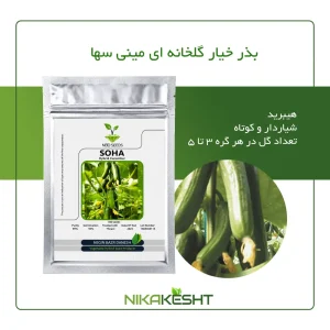 بذر خیار مینی سها