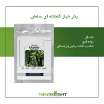 بذر خیار گلخانه ای - فضای باز سامان F1