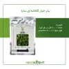 بذر خیار گلخانه ای سایا