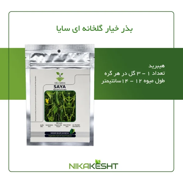 بذر خیار گلخانه ای سایا