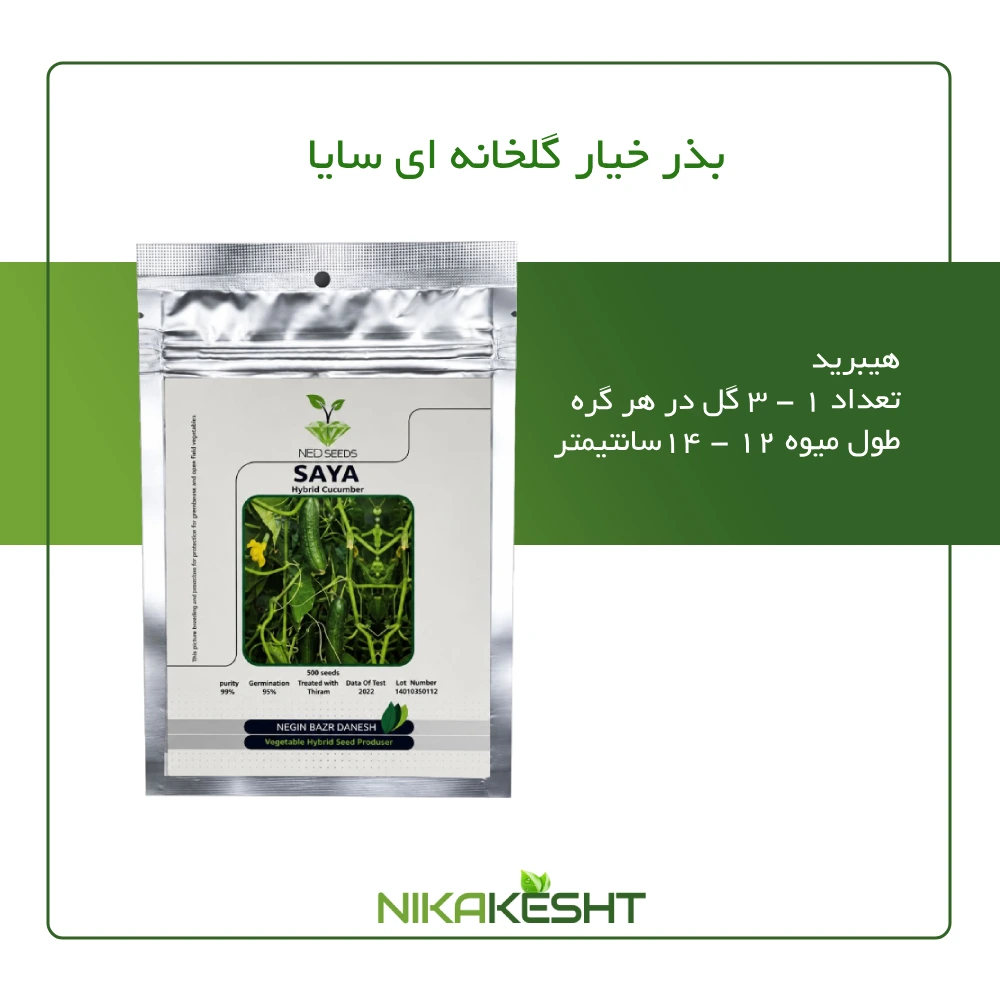 بذر خیار گلخانه ای سایا