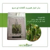 بذر خیار هیبرید گلخانه ای سرو