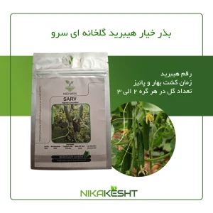 بذر خیار گلخانه ای سرو