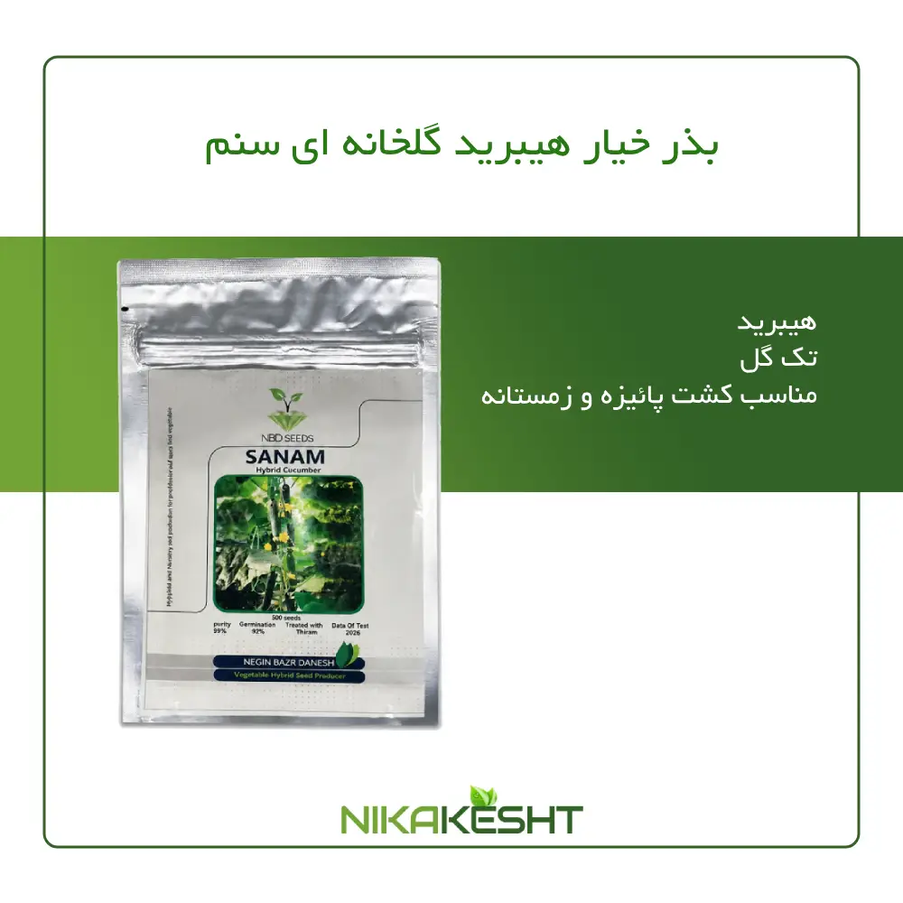 بذر خیار گلخانه ای سنم