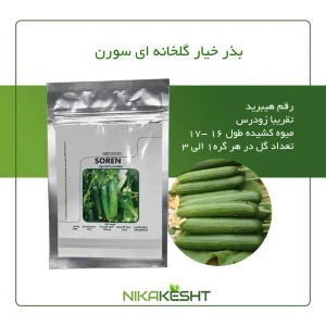 بذر خیار سورن