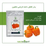 بذر هیبرید فلفل دلمه نارنجی ماهین