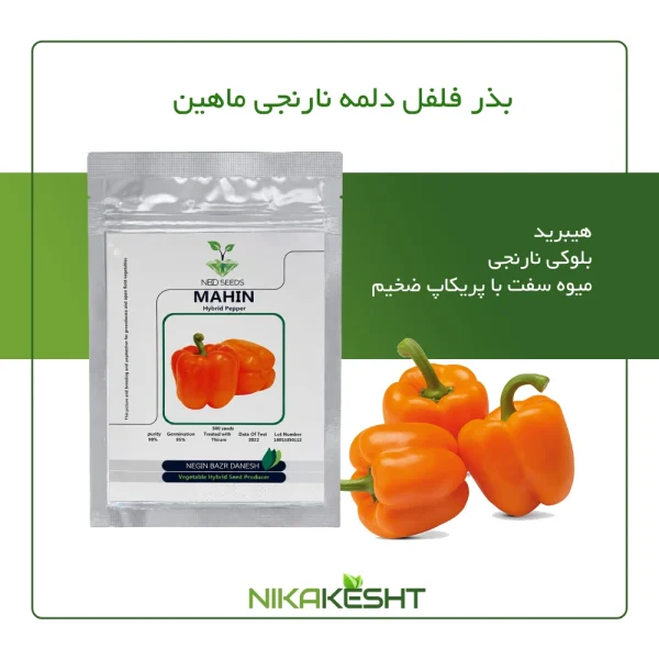 بذر هیبرید فلفل دلمه نارنجی ماهین