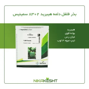 بذر فلفل دلمه هیبرید ۸۳۰۲ سمینیس