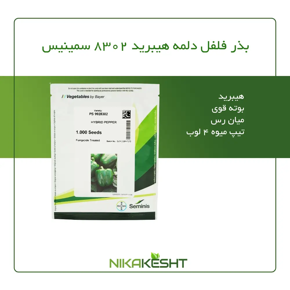 بذر فلفل دلمه هیبرید ۸۳۰۲ سمینیس