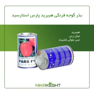 بذر گوجه فرنگی پارس