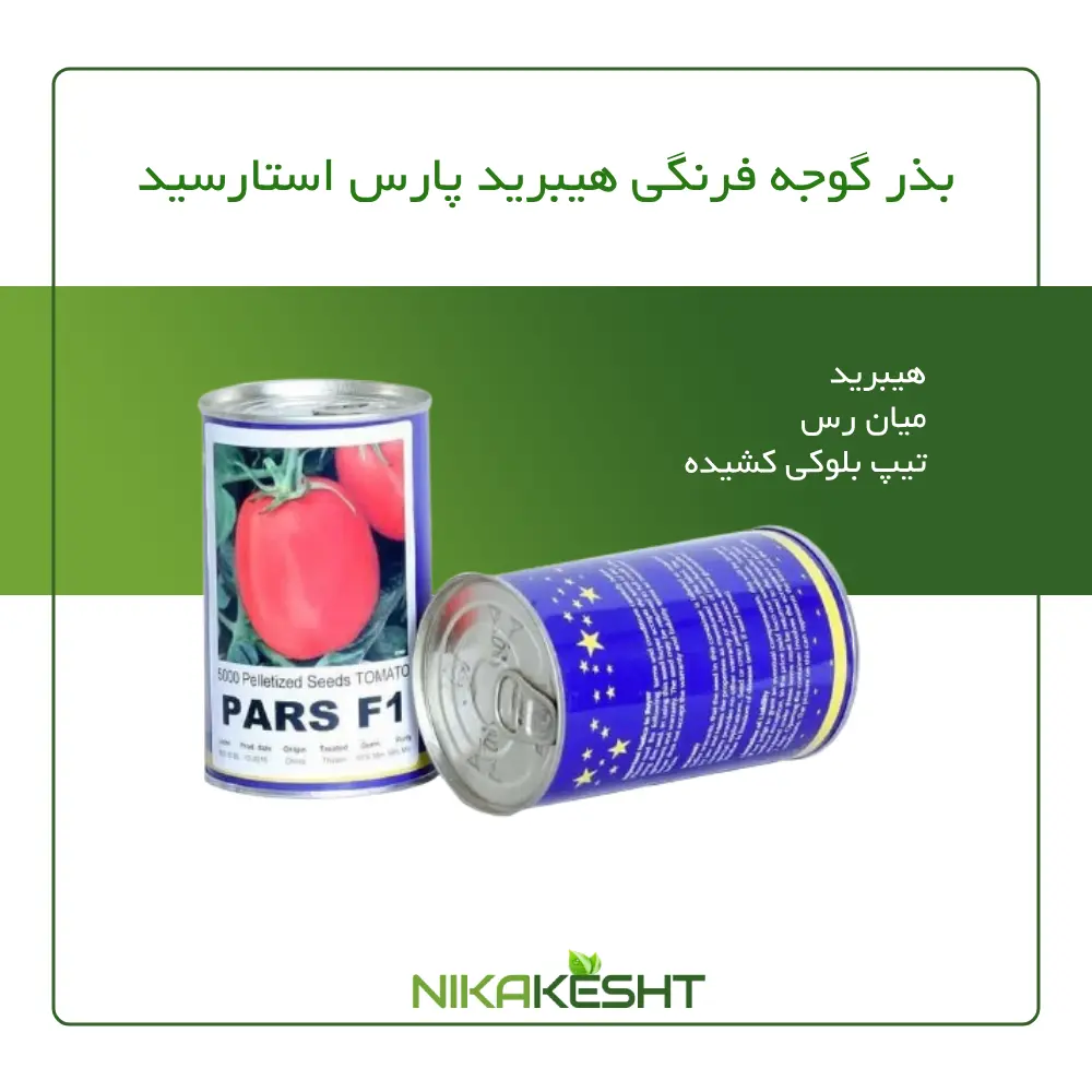 بذر گوجه فرنگی هیبرید پارس استارسیدز