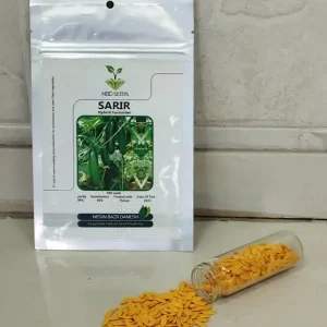 بذر خیار گلخانه ای سریر