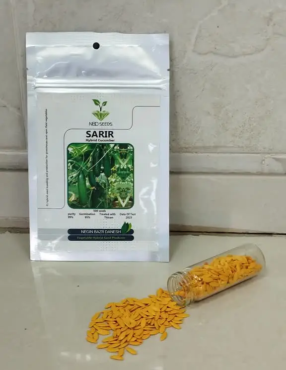 بذر خیار گلخانه ای سریر