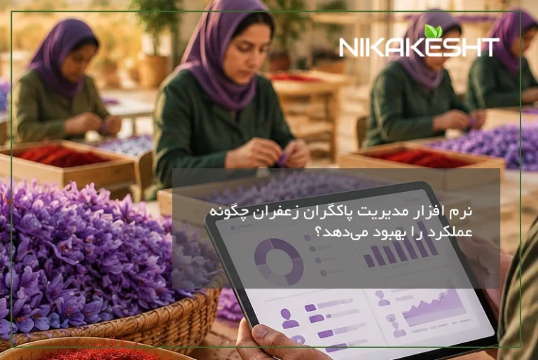نرم افزار مدیریت پاکگران زعفران چگونه عملکرد را بهبود میدهد؟