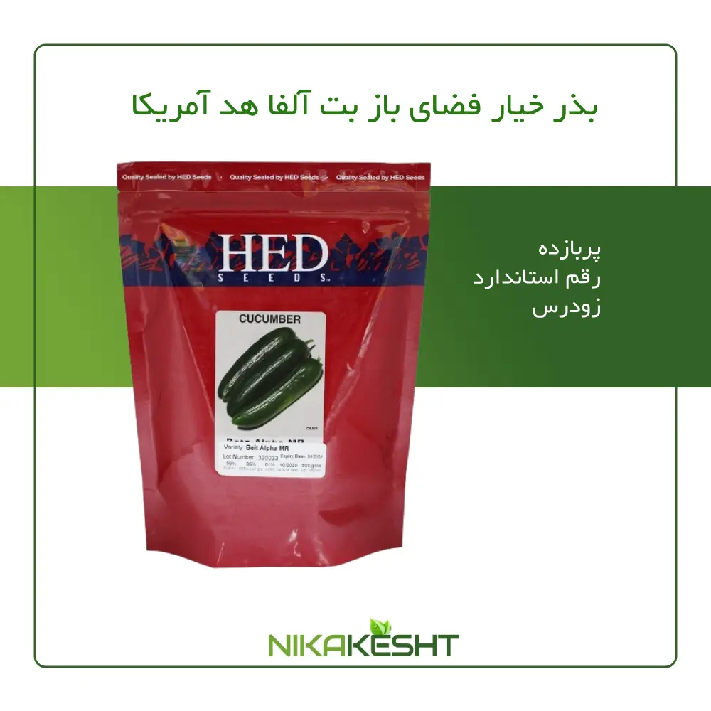 بذر خیار بت آلفا هد آمریکا