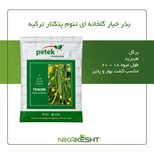 بذر خیار تنوم