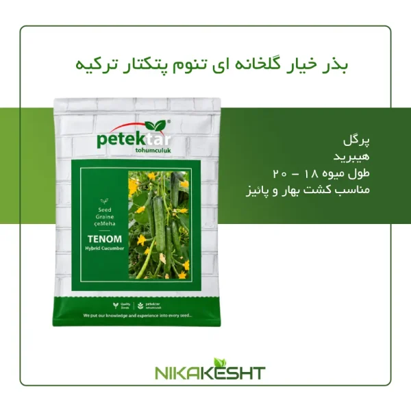 بذر خیار گلخانه ای تنوم پتکتار ترکیه