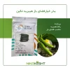 بذر خیار فضای باز هیبرید تکین