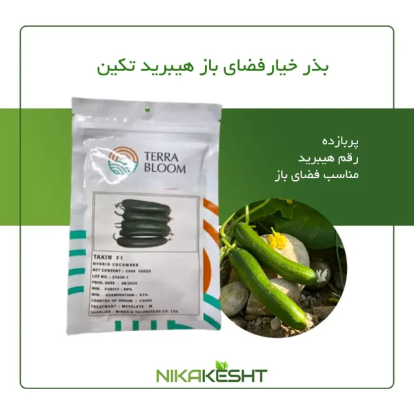 بذر خیار فضای باز هیبرید تکین
