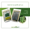 بذر خیار فضای باز دایا ترکیه