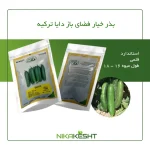 بذر خیار فضای باز دایا ترکیه