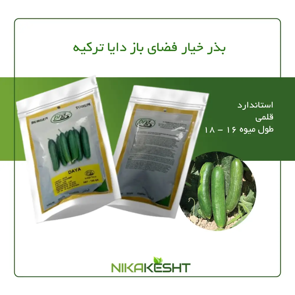 بذر خیار فضای باز دایا ترکیه