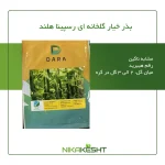 بذر خیار گلخانه ای رسپینا هلند