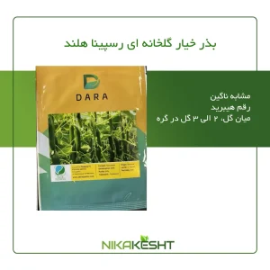 بذر خیار گلخانه ای رسپینا