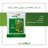 بذر خیار گلخانه ای سوین پتکتار