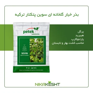 بذر خیار سوین پتکتار