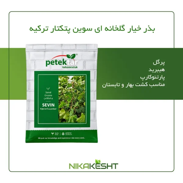 بذر خیار گلخانه ای سوین پتکتار