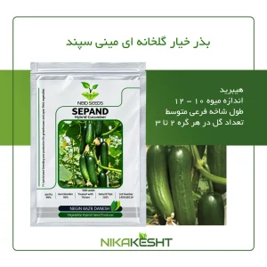 بذر خیار سپند