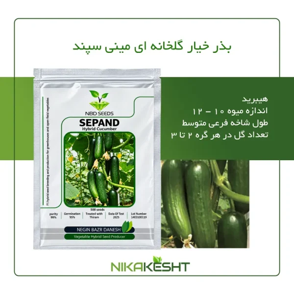 بذر خیار مینی سپند