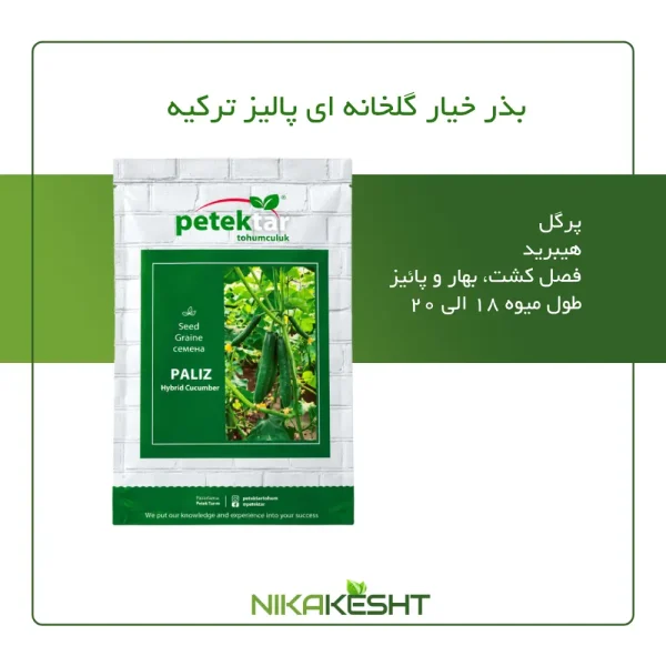 بذر خیار گلخانه ای پالیز ترکیه