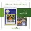 بذر خربزه ملون میشل روماسیدز