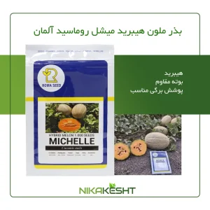 بذر خربزه ملون میشل روماسیدز