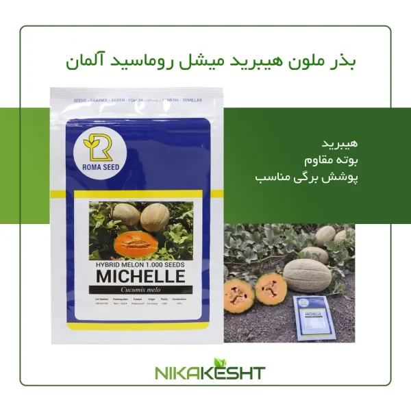 بذر خربزه ملون میشل روماسیدز